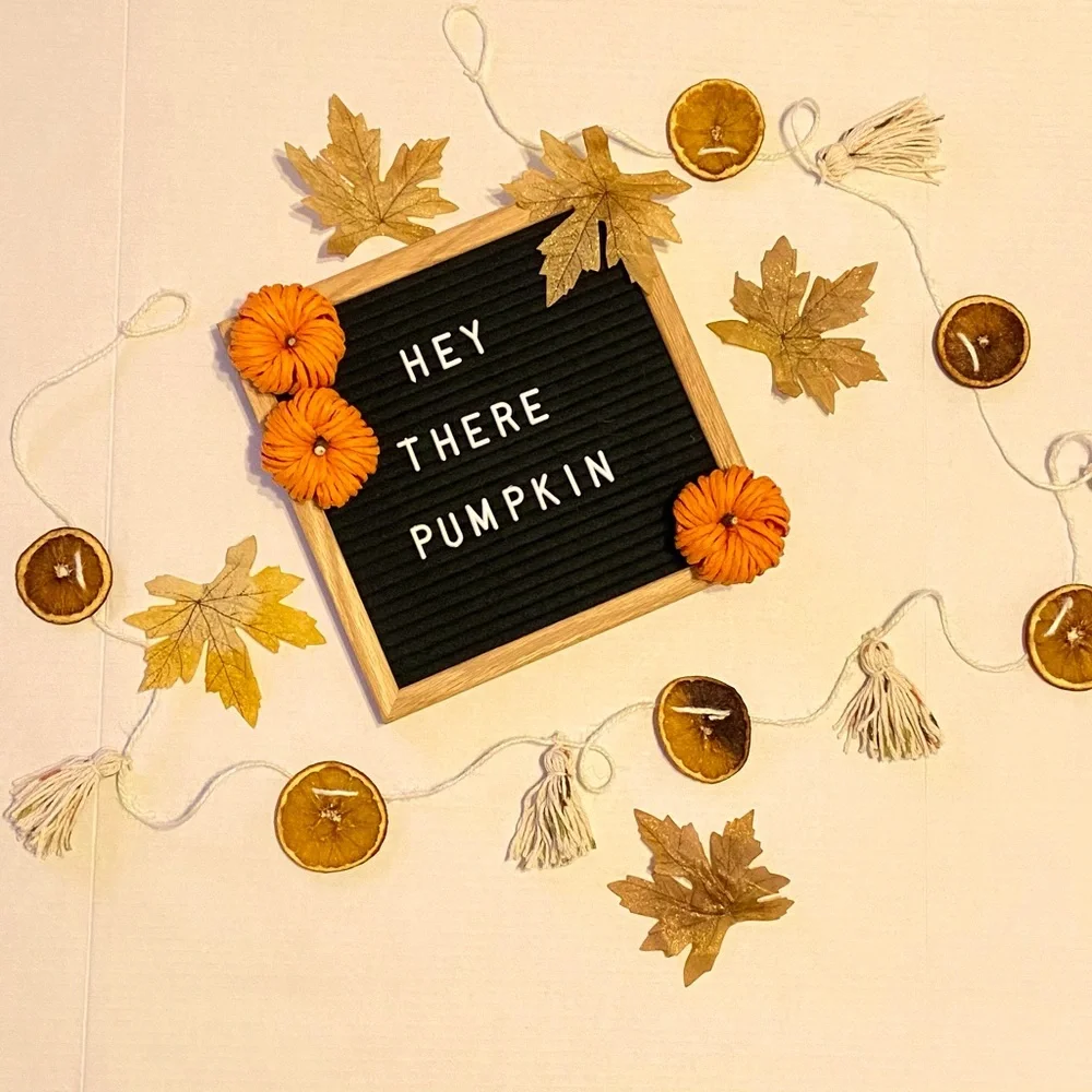 Handmade Dry Orange and Tassel Garland